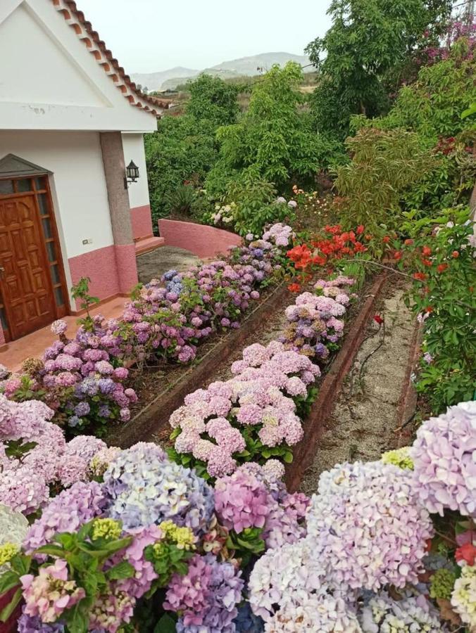 Mar De Flores เบกา เด ซานมาเตโอ ภายนอก รูปภาพ