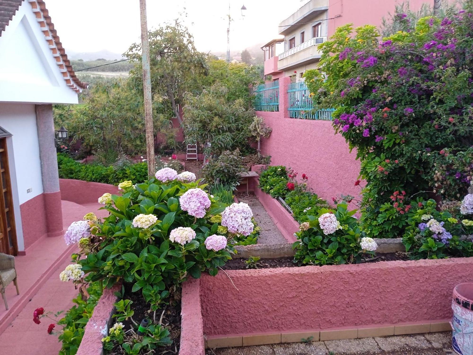 Mar De Flores เบกา เด ซานมาเตโอ ภายนอก รูปภาพ