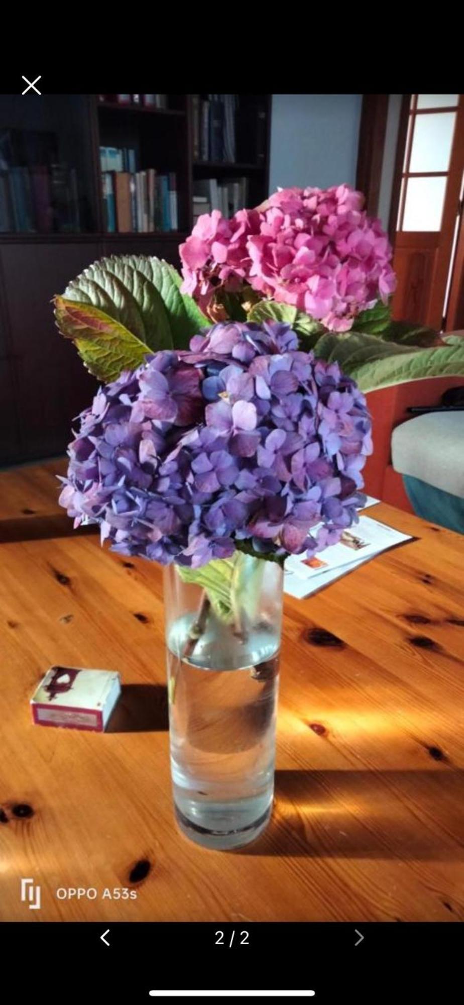 Mar De Flores เบกา เด ซานมาเตโอ ภายนอก รูปภาพ